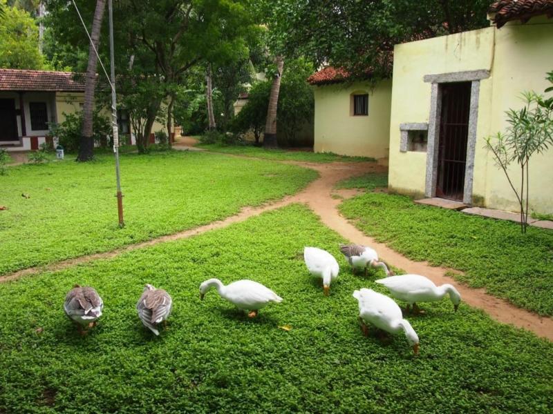 Indeco Hotels Swamimalai Kumbakonam Ngoại thất bức ảnh